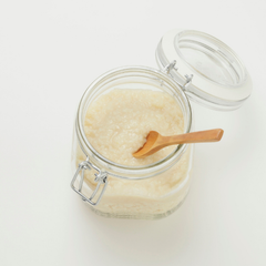 Lactobacillus ferment