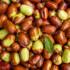 Huile de jojoba